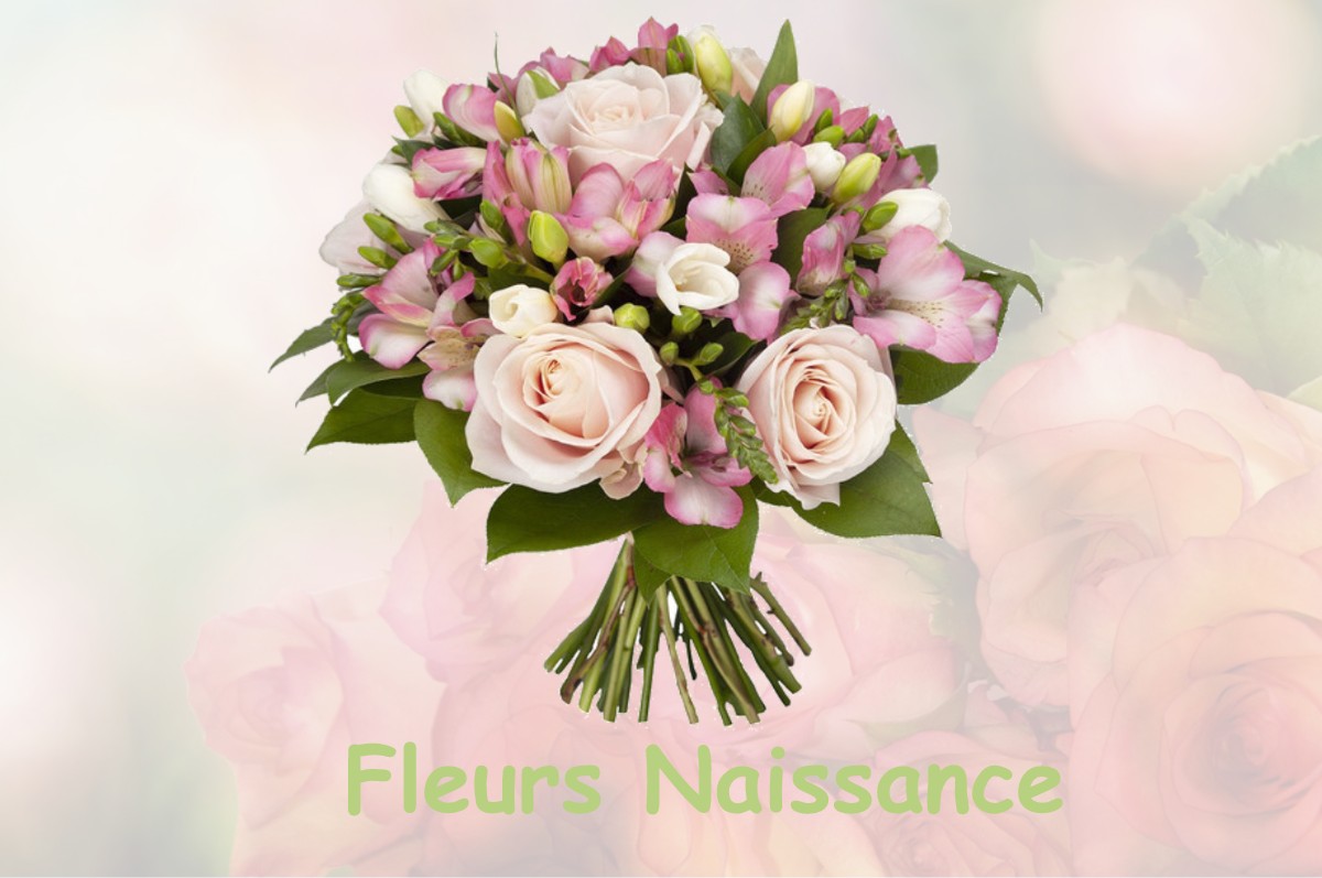 fleurs naissance COURCELLES-FREMOY